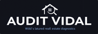 Audit Vidal